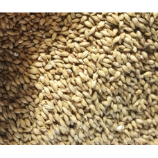 Gladfield Rye Malt 25kg Sack (Non-stocked item)