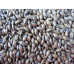 Gladfield Dark Chocolate Malt per kg