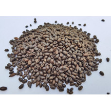 Gladfield Eclipse Wheat per kg