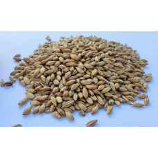 Gladfield Light Crystal Malt per kg