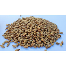 Gladfield Redback Malt per kg