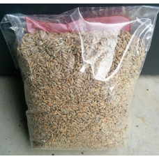 Gladfield Rye Malt per kg