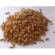 Gladfield Supernova Malt per kg